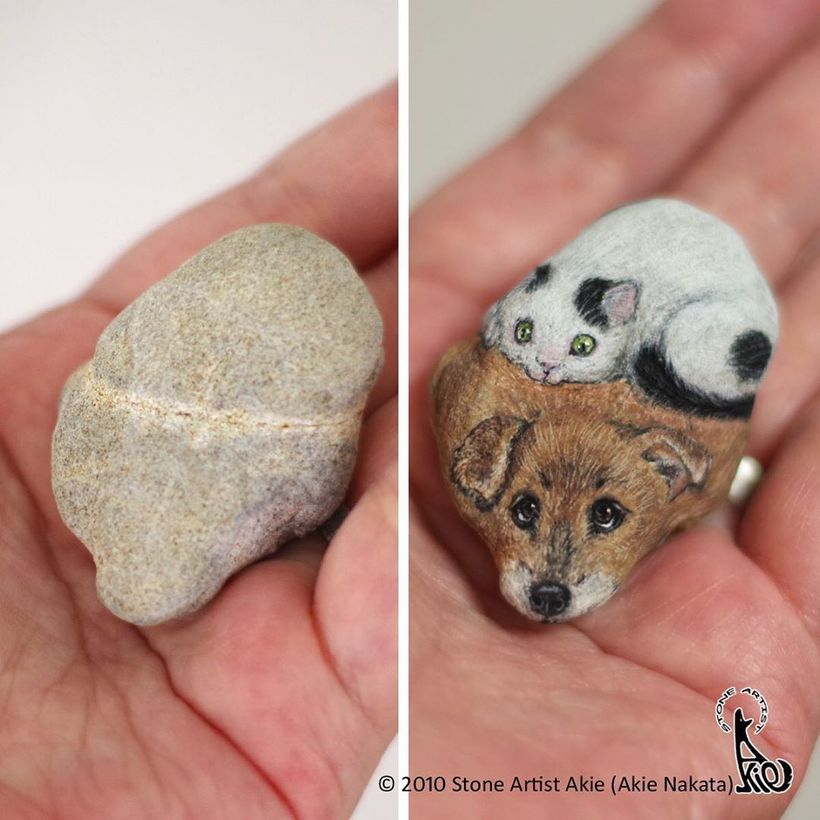 Японка превращает камни в реалистичных животных 