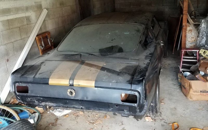 Из проката в забытье: уникальный Mustang нашли в сарае Из проката в забытье: уникальный Mustang нашли в сарае авто