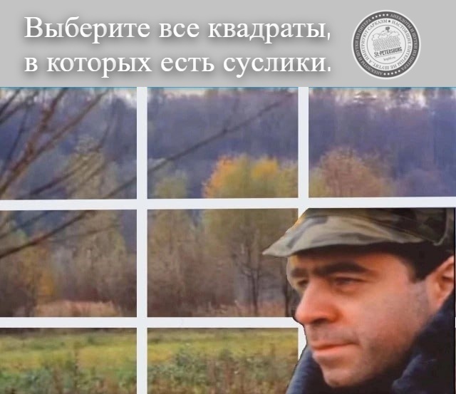 Суслики