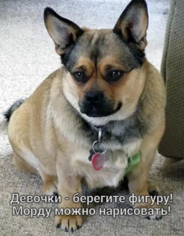 Как нужно правильно пить водку