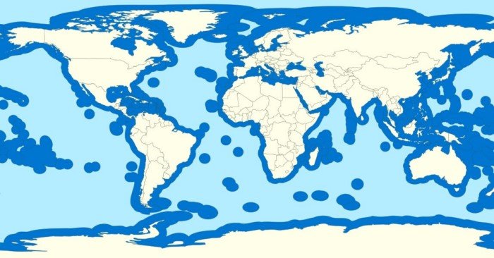 Французская морская империя: как страна сохраняет огромную территорию по всему миру?