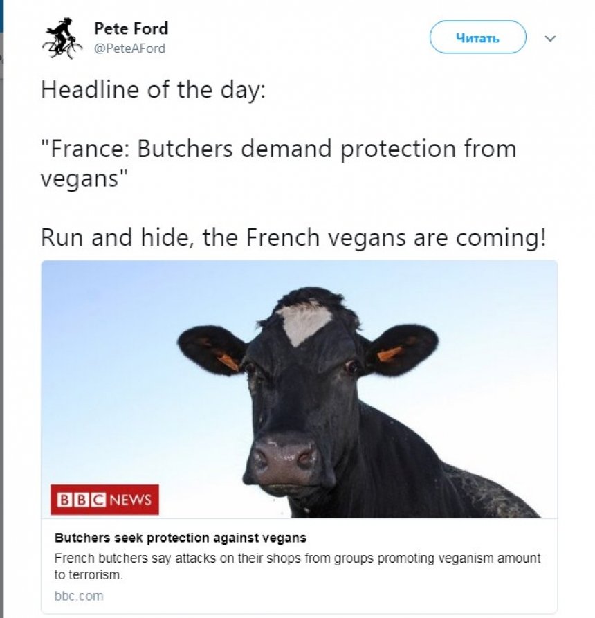 Франция против: на Западе обругали фанцузских веганов за вандализм по отношению к мясникам