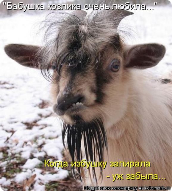 Самые смешные котоматрицы за прошедшую неделю