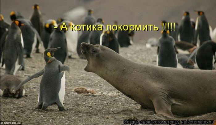 Мысли вслух :)