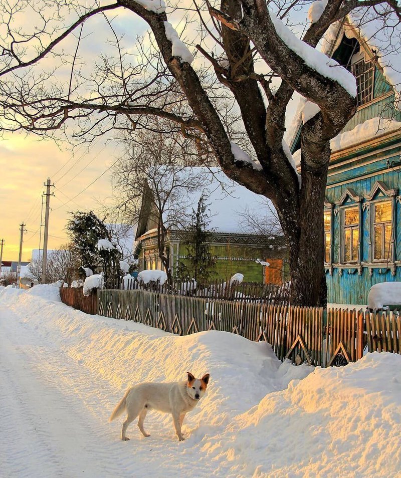 25 фотографий русской деревни, которые вернут вас в детство деревня, детство, ностальгия, русская деревня