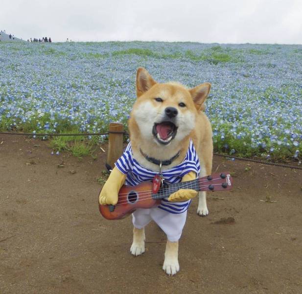 Подборка смешных картинок Подборка смешных картинок приколы,смешные картинки,юмор