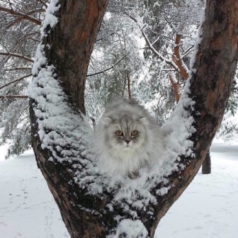Подборка смешных картинок и фотографий из нашей жизни 