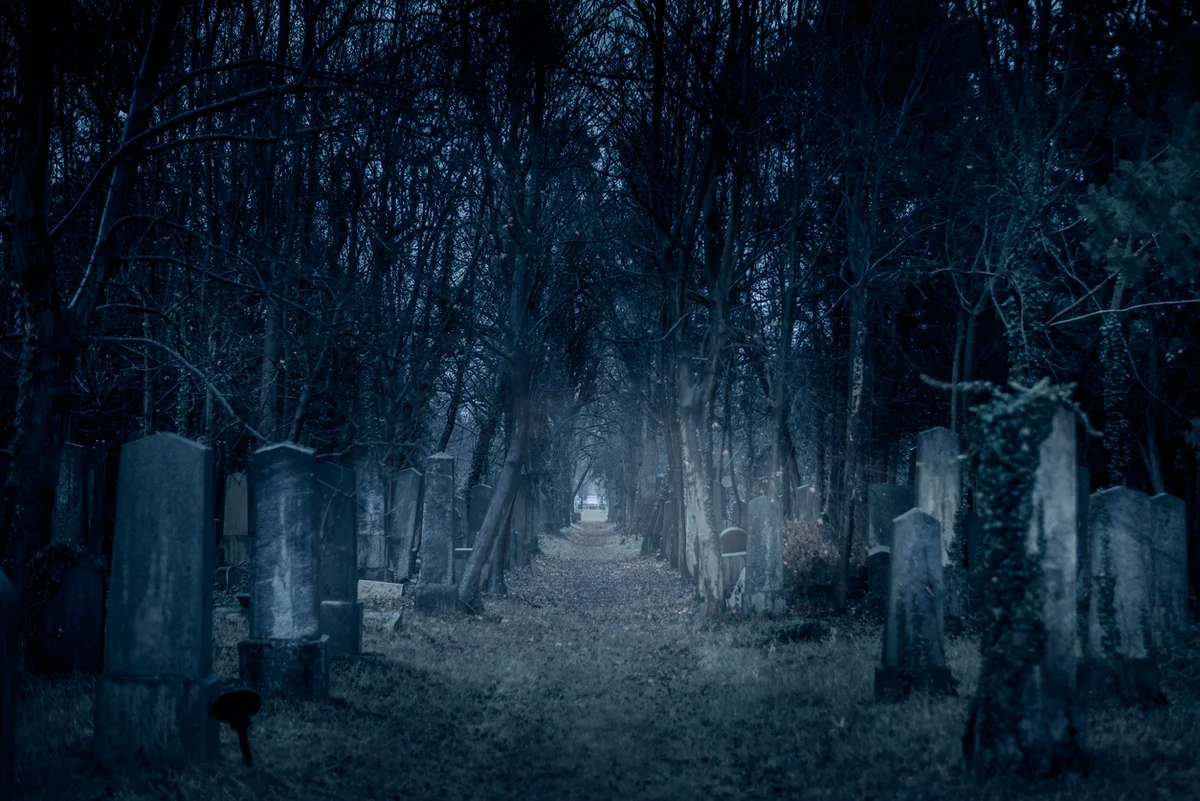 В темноте, при свете дня, кладбище зовёт меня 