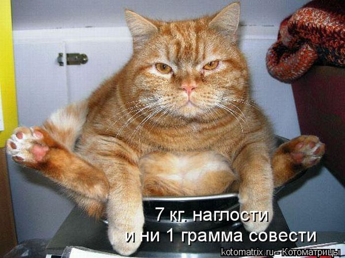 Мысли вслух :)