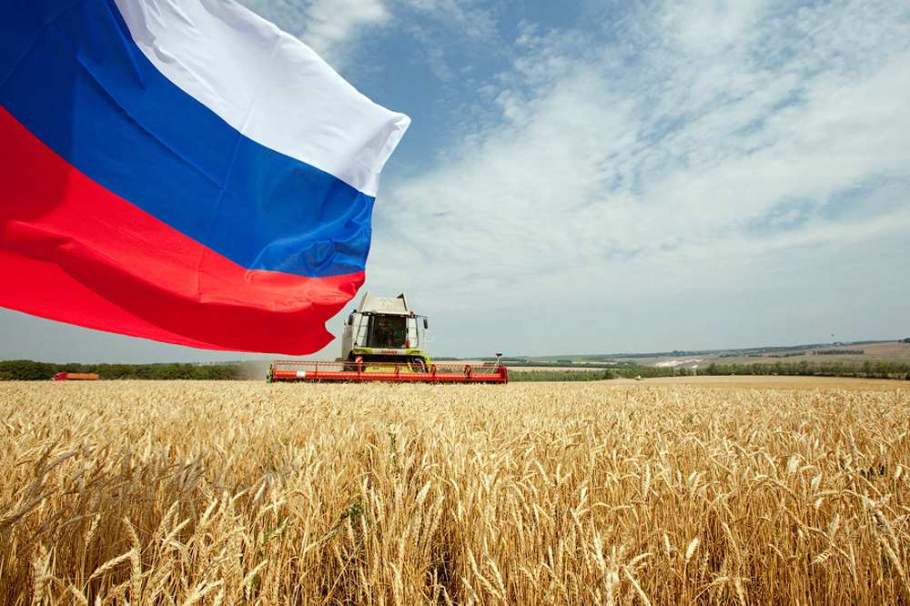 Россия впервые заняла более четверти мирового экспорта пшеницы | Русская весна