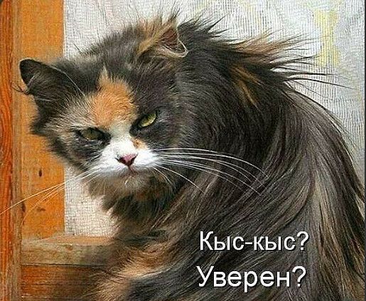 Подборка юмора и шуток на выходные 