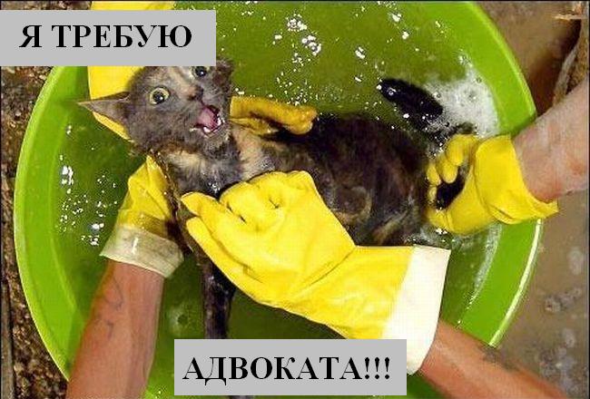 Котоматрица. Мысли вслух :) Котоматрица. Мысли вслух :)