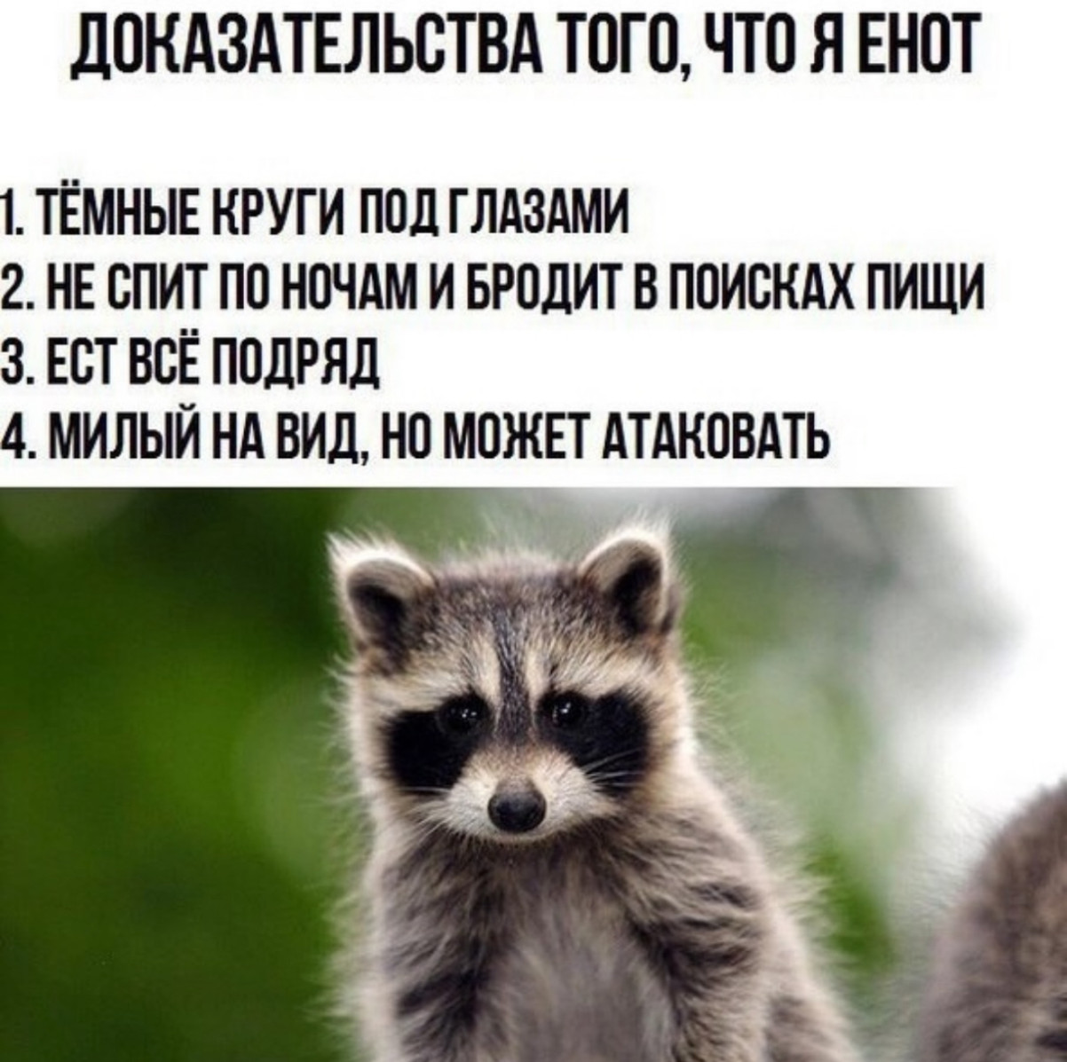Уволился, потому что работа мешала моему лету Уволился, потому что работа мешала моему лету