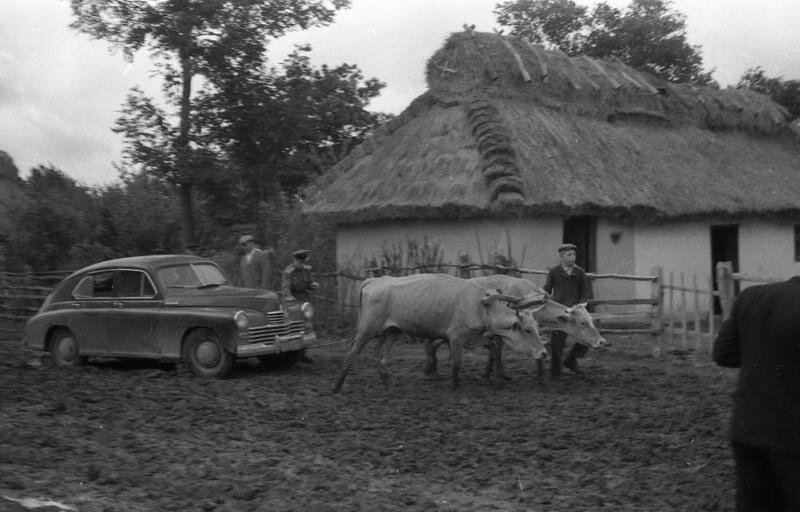 Дорога от Винницы до ТепликаСемен Мишин-Моргенштерн, 1950-е, Украинская ССР, МАММ/МДФ. 