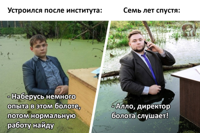 Купил самоклеящиеся обои. Сижу. Жду 