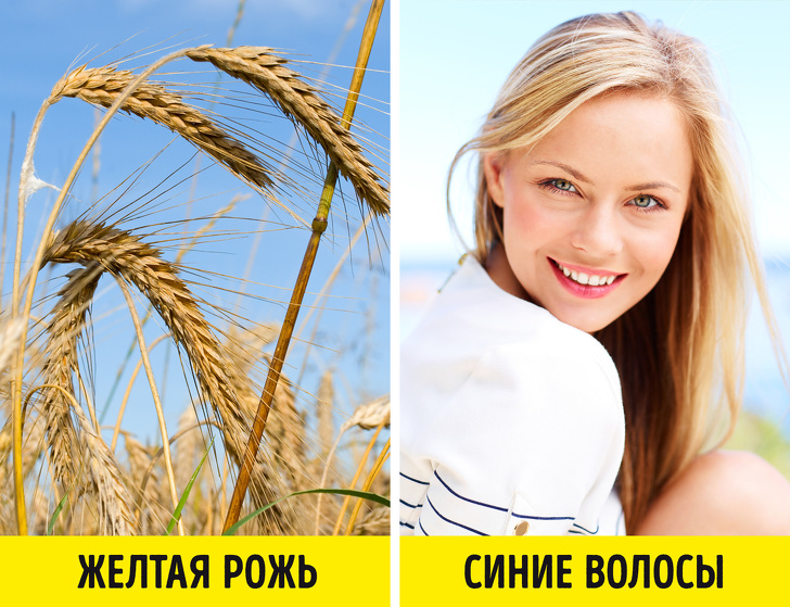 Меня зовут Ксюша и у меня 2 родных языка. Кстати, это не так здорово, как многие привыкли думать воспитание,Дети,Жизнь,Истории,Отношения,проблемы