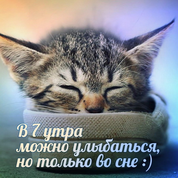 Анекдоты и шуточки для чудесного настроения! Анекдоты и шуточки для чудесного настроения!