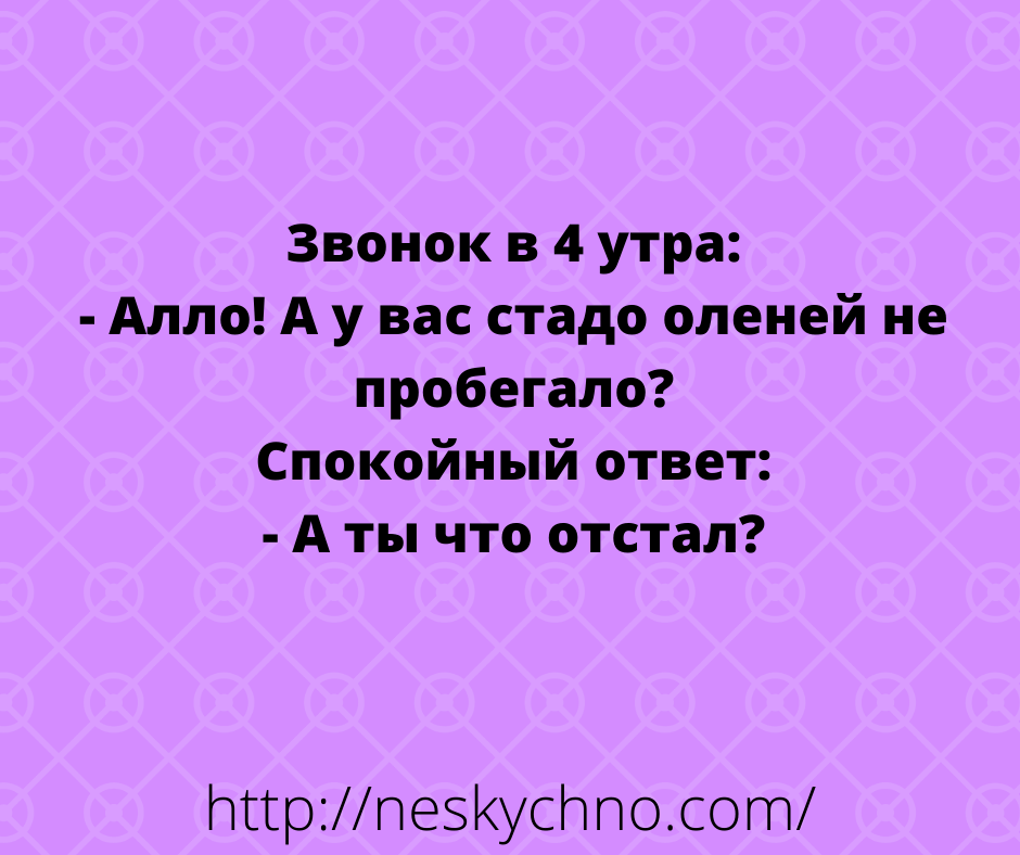 Немного свежих анекдотов для хорошего настроения 