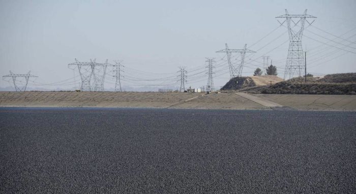 «Черное поле»: зачем власти Лос-Анджелеса высыпали 96 млн шаров в водохранилище водохранилище,Лос-Анджелес,удивительное