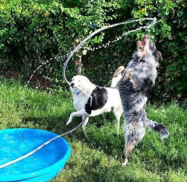 Прикольные картинки картинки из сети, прикол, юмор