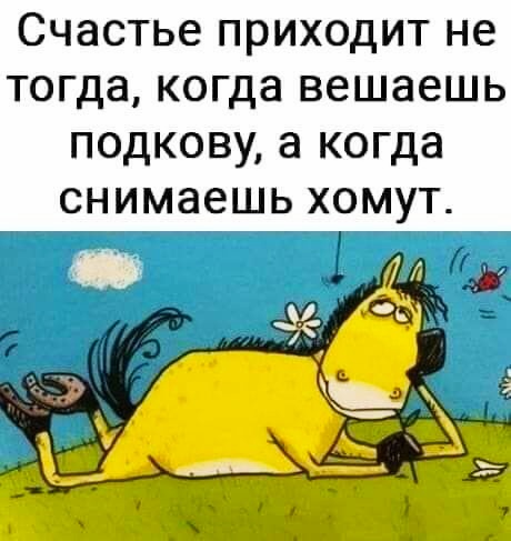 Подборка  юмора для хорошего настроения 