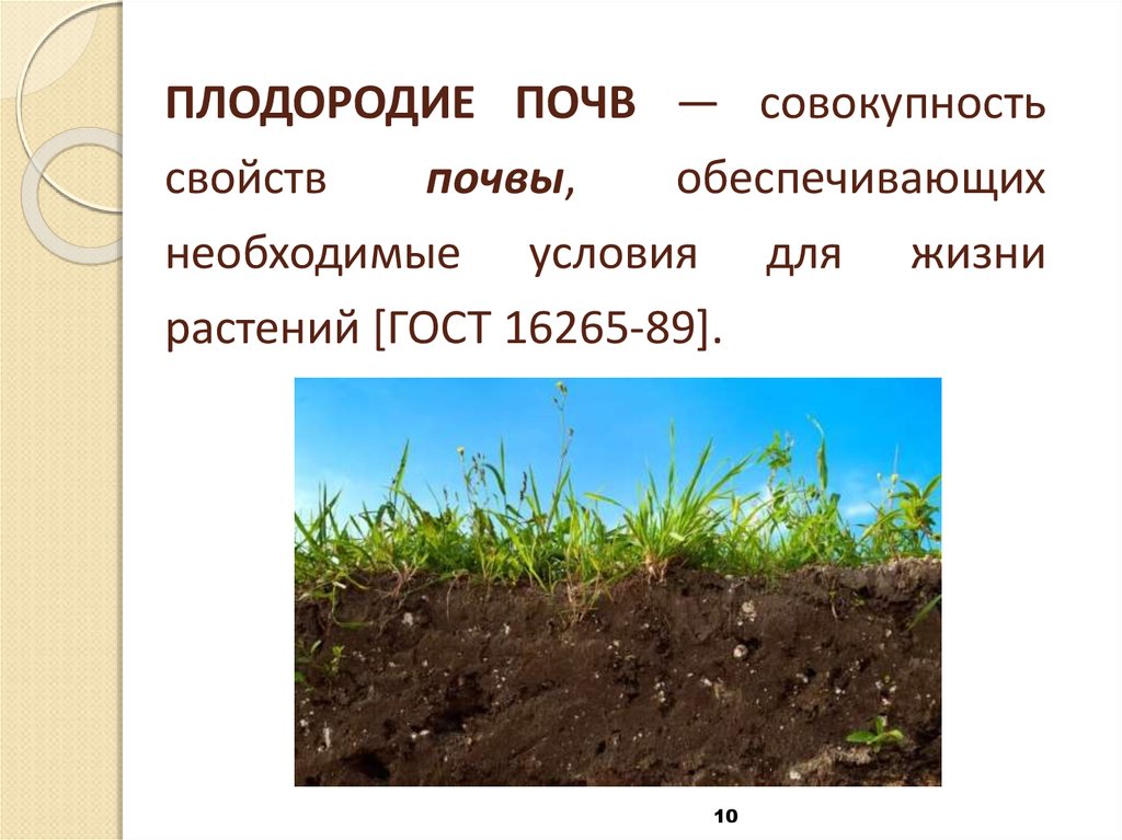 Какая почва менее плодородна. Плодородие почвы. Почва плодородие почвы. Чем определяется плодородие почвы. Растения на плодородной почве.