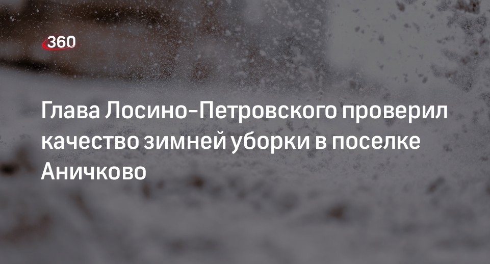 Глава Лосино-Петровского проверил качество зимней уборки в поселке Аничково