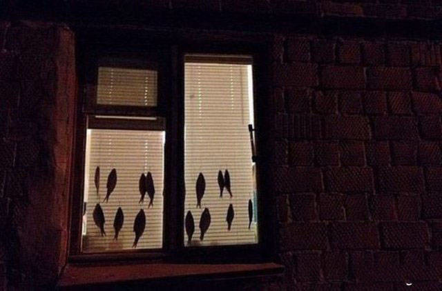 Удивительные снимки с российских просторов люди, прикол, россия