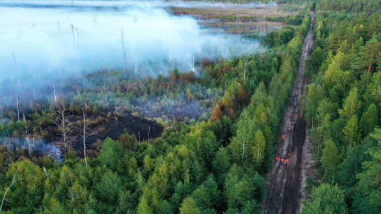 Площадь природных пожаров в Рязанской области выросла на три тысячи гектаров