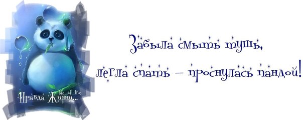 Прикольные картинки с фразочками Прикольные картинки с фразочками