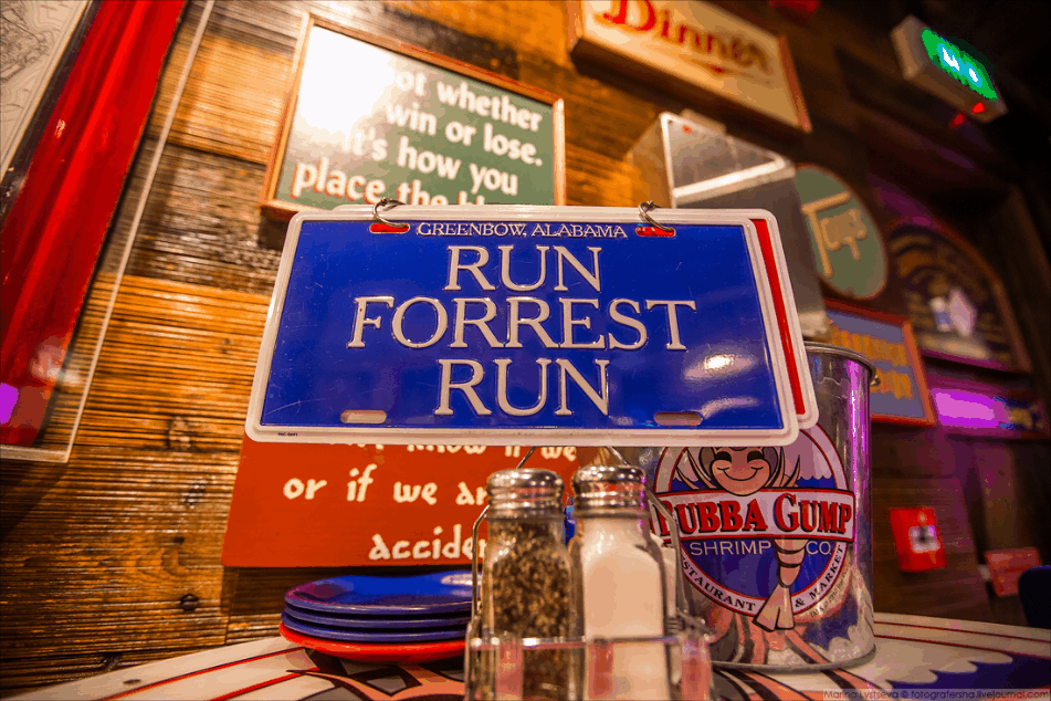 forest forest