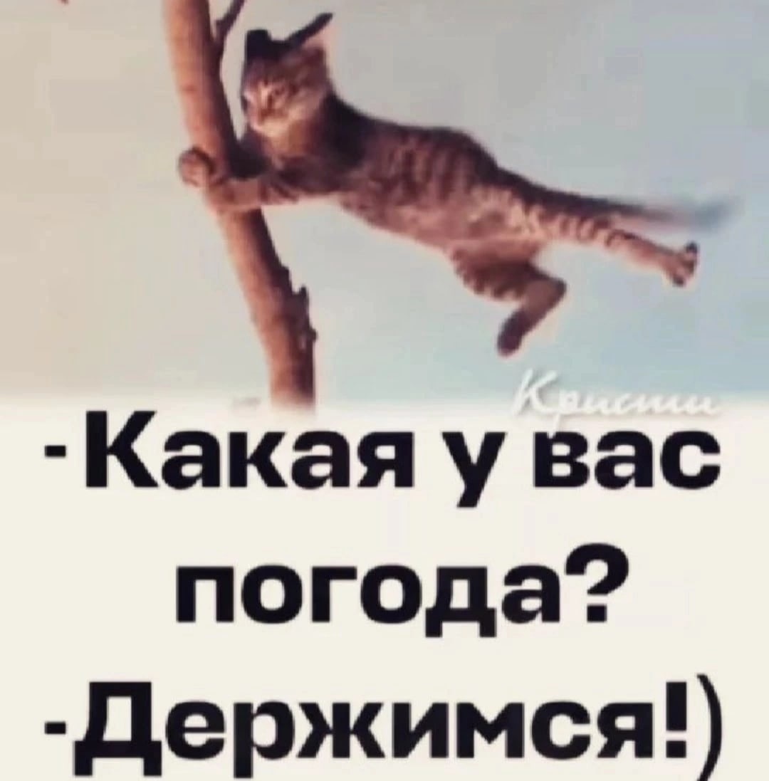 Юмор из интернета 743 Юмор из интернета 743 позитив,смех,улыбки,юмор