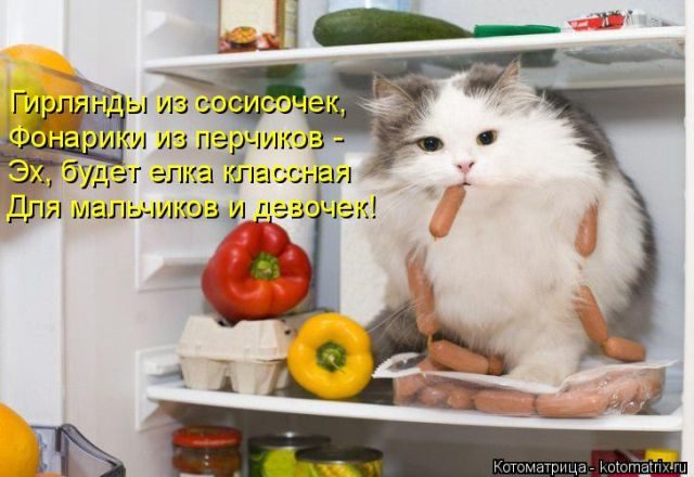 Самые смешные котоматрицы за прошедшую неделю