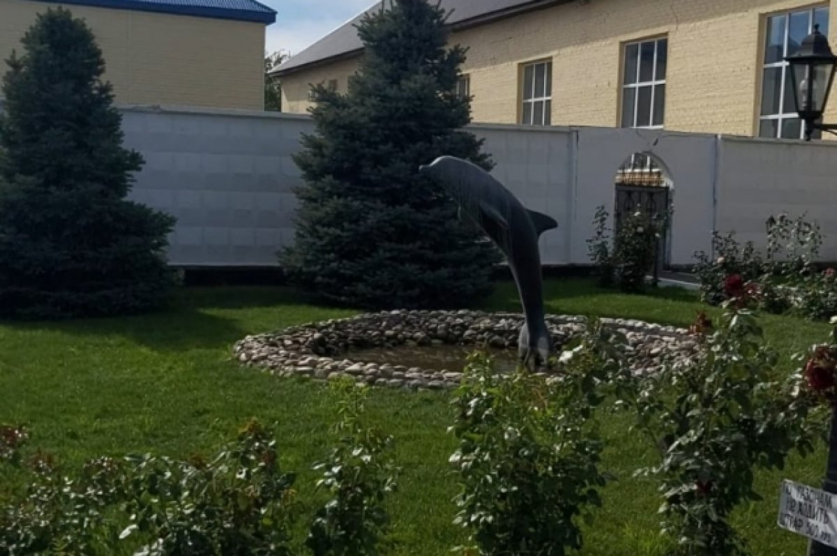 ФСИН отправила комиссию в «Черный дельфин» для проверки жалоб на избиения