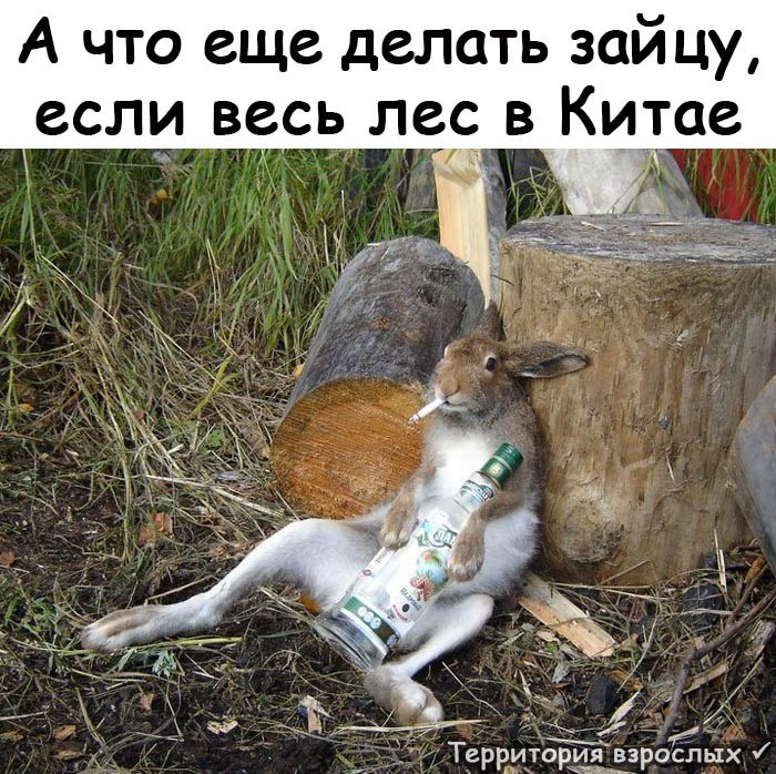 Анекдоты и шуточки для чудесного настроения! Анекдоты и шуточки для чудесного настроения!