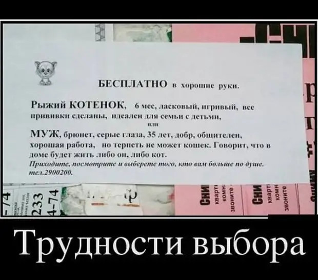 - Ребята, объясните, что такое утечка мозгов? - В твоем случае, Саша, это насморк... - Ребята, объясните, что такое утечка мозгов? - В твоем случае, Саша, это насморк... домой, чтобы, прямо, минут, работает, почему, теперь, грозно, Почему, только, сейчас, вечер, сказал, вечером, работы, застаю, постели, какимто, шведом, сказать