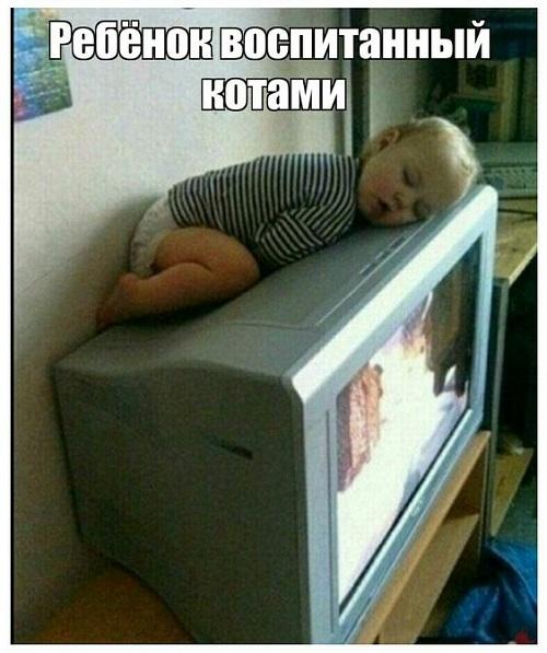 Забавности и различный юмор для чудесного настроения