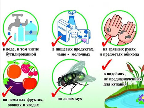 Повышенное газообразование – это одна из тех проблем, о которых не принято говорить вслух.-7