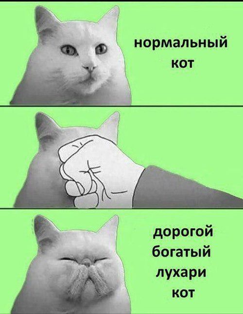 Картинки юмора!!! Картинки юмора!!! смешные картинки