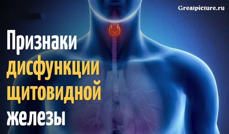 Признаки дисфункции щитовидной железы, которые Вы игнорируете каждый день