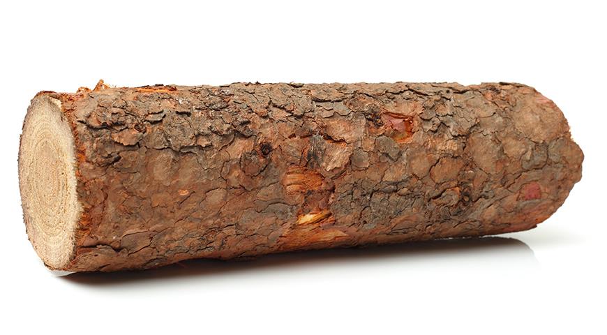 Какие дрова лучше: березовые, хвойные, осиновые или от фруктовых деревьев Какие дрова лучше: березовые, хвойные, осиновые или от фруктовых деревьев