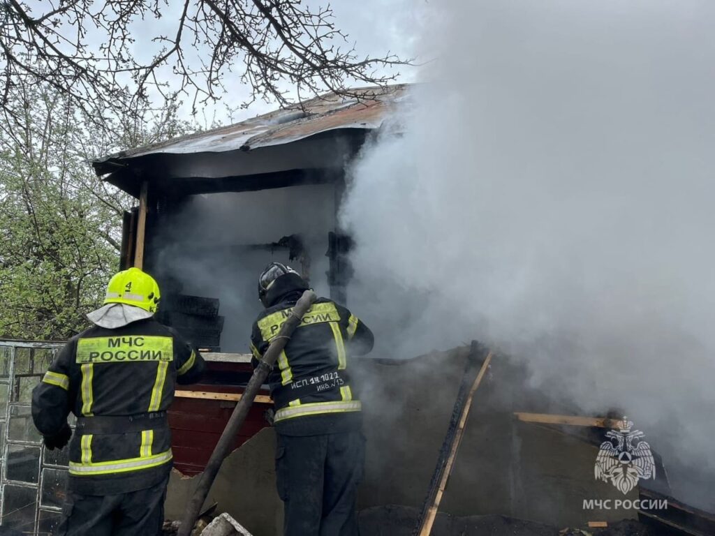 В Рязани пожарные спасли собаку, привязанную к горящему дому