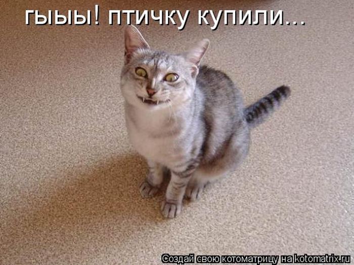 Мысли вслух :)