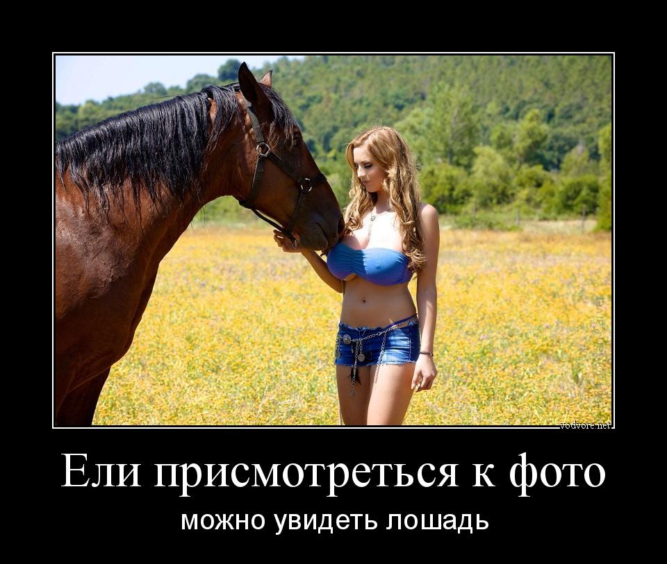 Поэт не мог видеть как лошадь пришла