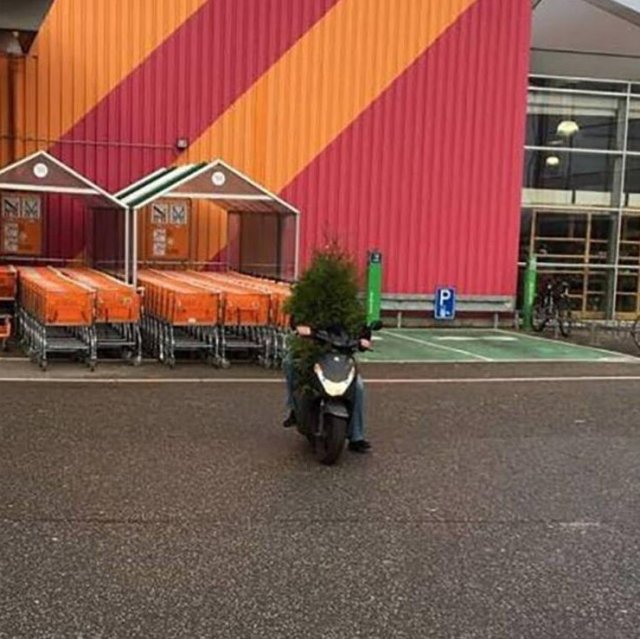 Фотографии, которые заставят задаться вопросом "Что здесь происходит?" Фотографии, которые заставят задаться вопросом "Что здесь происходит?" позитив,смешные картинки,юмор