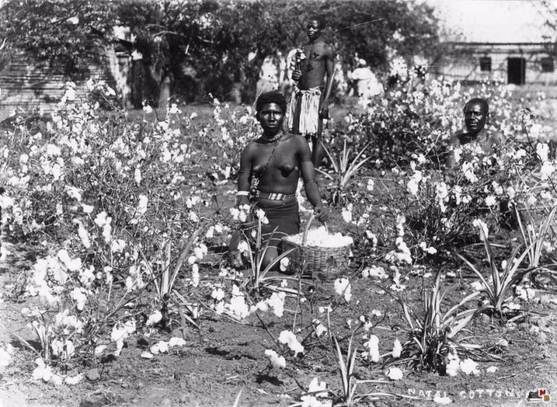 Сесил Родс. «Наполеон Южной Африки» Сесил Родс. «Наполеон Южной Африки» история