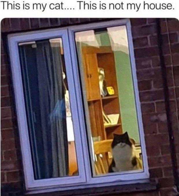 Фотоподборка недели Фотоподборка недели