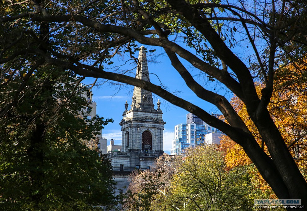 Центральный парк Нью-Йорка города,заграница