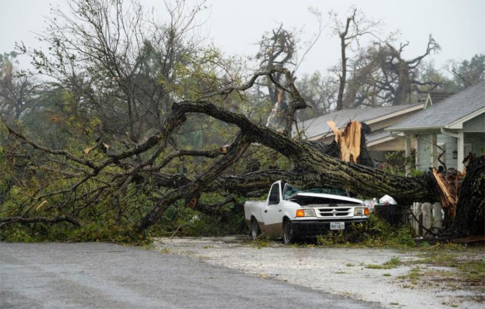 A Car Crushed By A Huge Tree In Rockport