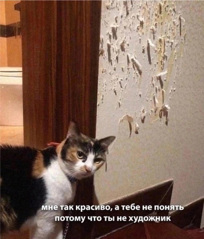 Смешные картинки с надписями и петрушка с кинзой Смешные картинки с надписями и петрушка с кинзой